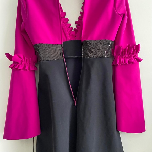 GRETA CONSTANTINE RARE APPLIQUE RUFFLE SEQUIN KNEE LENGTH V-NECK DRESS MARKLE - Picture 11 of 16